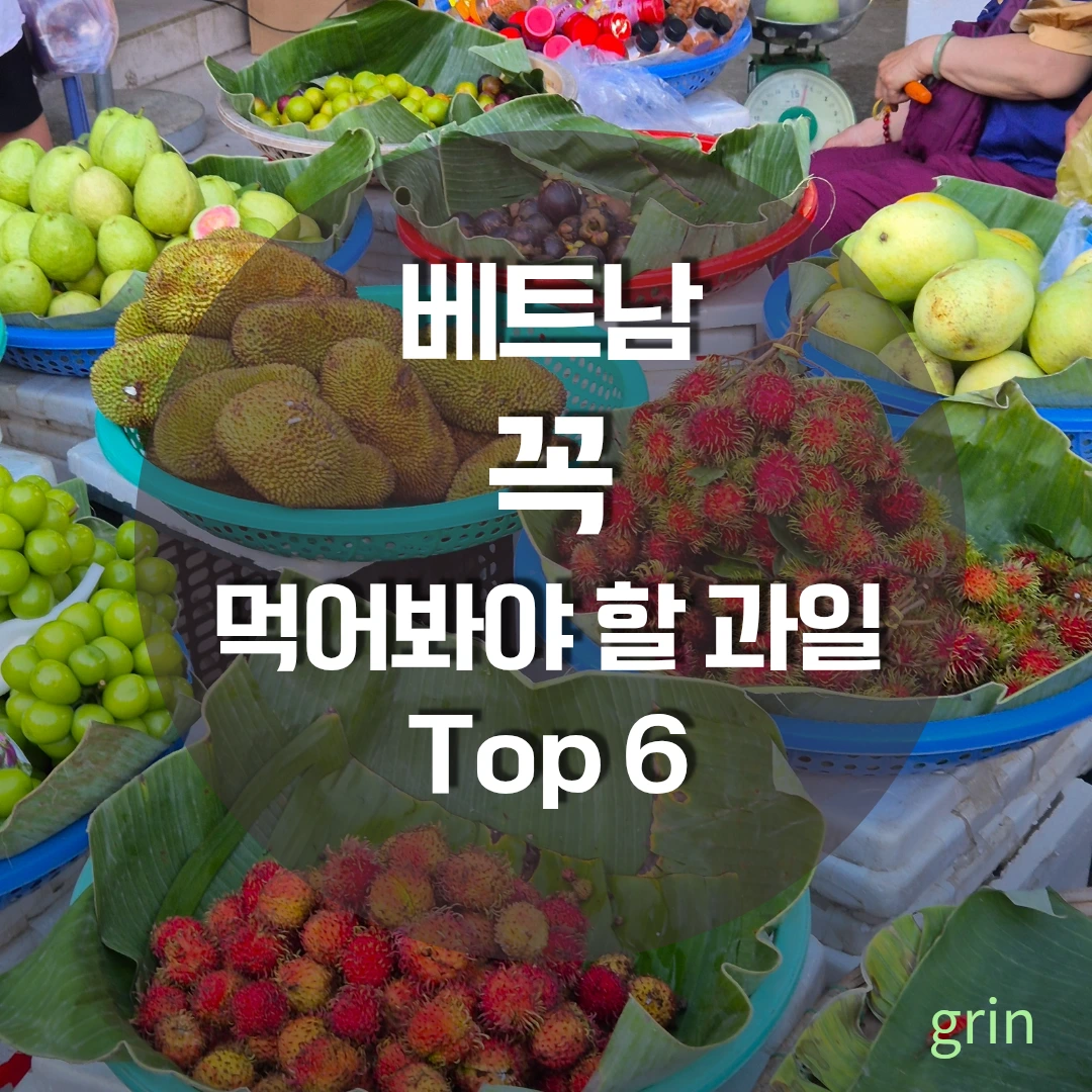 베트남 과일 중 꼭 먹어봐야 할 과일 추천 베스트 6 및 맛있게 고르는 꿀팁