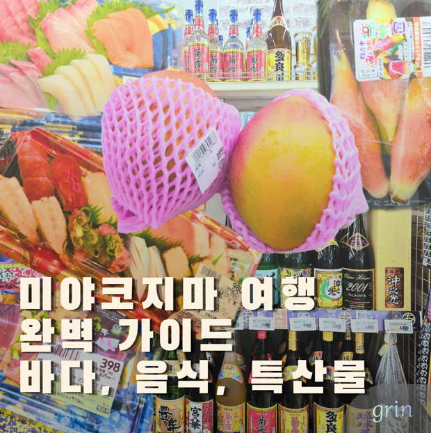 미야코지마 여행을 적극 추천합니다: 스노쿨링과 음식 그리고 꼭 사야 할 Top3 특산품 총정리